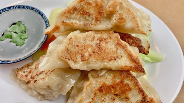 Gyoza - Chicken Dumpling.